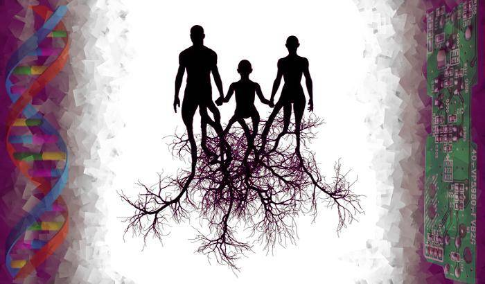 Quanto lunghe sono le nostre radici?