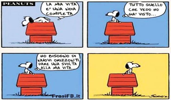La noia
