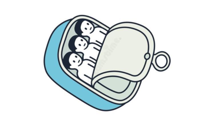 Sardine di distrazione di massa