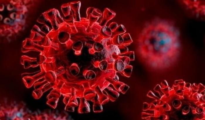 Il vaccino, i contratti misteriosi e le mogli al posto giusto